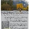 Autumn Newsletter 2010