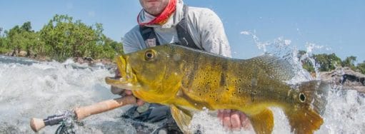 Kendjam, fishing brazil, kayapo courage, kendjam lodge, fishing peacock bass, pacu, wolf fish, payara, untamed angling, aardvark mcleod
