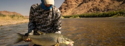 Kalarhari Yellowfish, Orange River, South Africa, Aardvark McLeod, largemouth yellowfish, smallmouth yellowfish, Alex Jardine