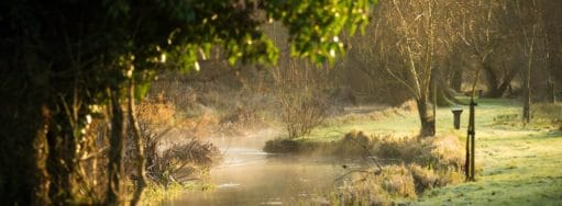 River Nadder, Chalkstream fishing, Berkshire, UK fishing guide