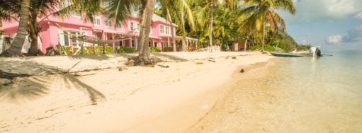 Bairs lodge, Bahamas, Aardvark McLeod