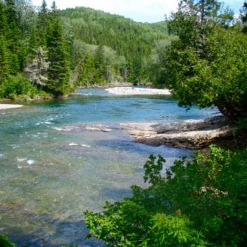 Camp Bonaventure, Salmon Lodge, Canadian Salmon Club, Grand Cascapedia, Petite Cascapedia, Dry fly salmon fishing, bomber fishing, fishing Canada, fishing Quebec, fishing New Brunswick, fishing Bathurst, Atlantic salmon, sight fishing salmon, aardvark mcleod