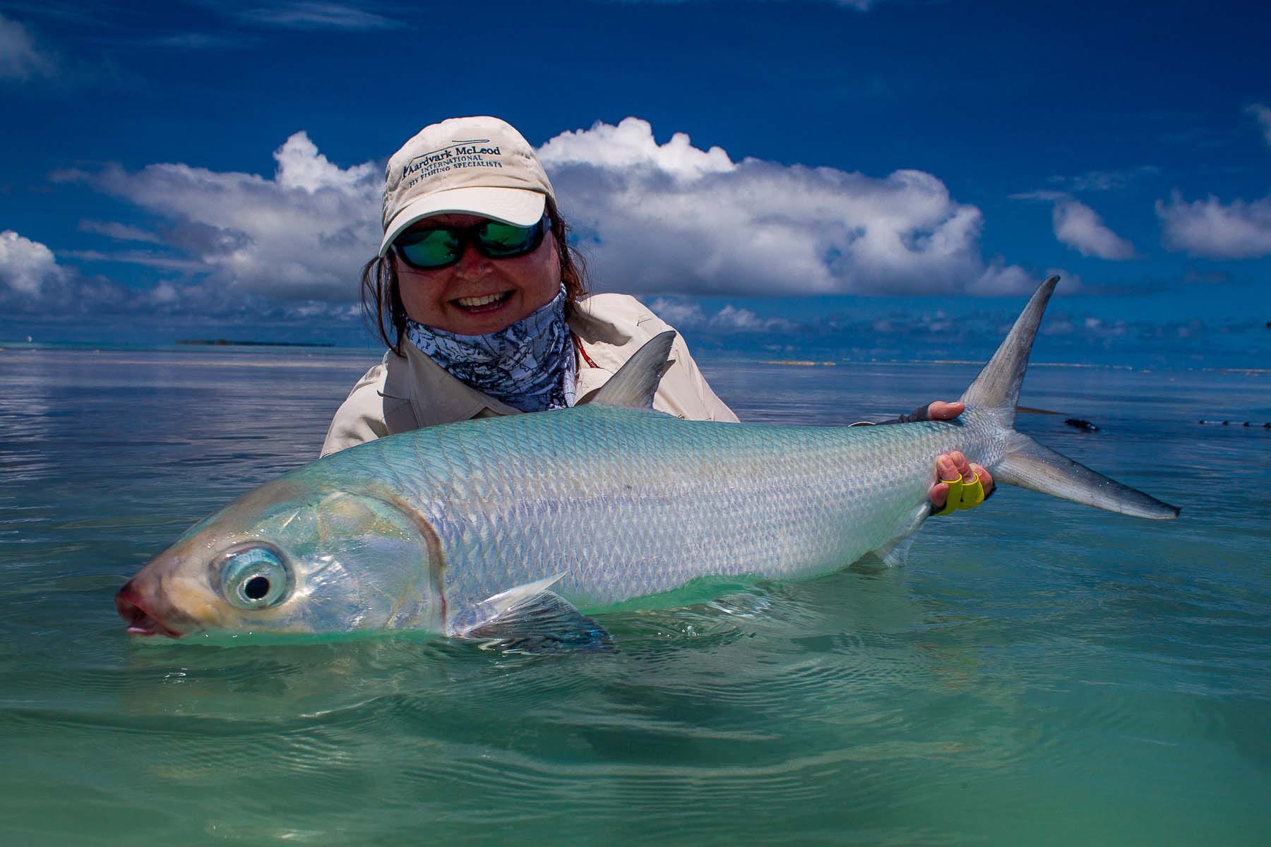 Los Roques, Venezuela, Aardvark McLeod