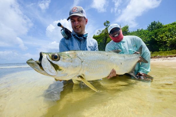 Tarpon, Turneffe Island Resort, Belize, Aardvark McLeod