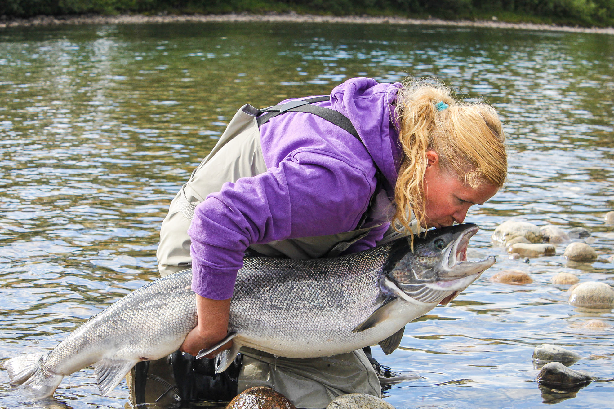 Malselv River, Norway, Norway Atlantic Salmon, fly fishing Norway, Aardvark McLeod
