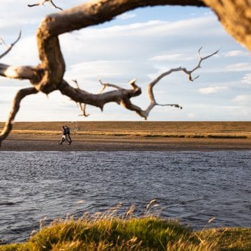 Kau Tapen, Rio Grande, Aardvark McLeod