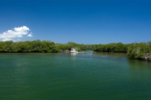 Santa Maria, Cuba, Aardvark McLeod, fishing in Cuba, tarpon, bonefish, permit