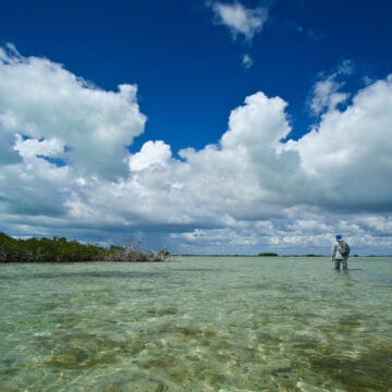 Zapata, mothership Georgiana, Cuba saltwater fishing, Cuba bonefishing, Aardvark McLeod