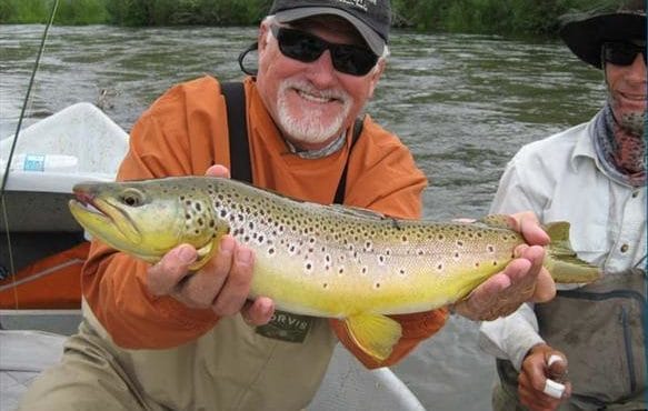 Madison Valley Ranch, Aardvark McLeod, trout fishing, brown trout