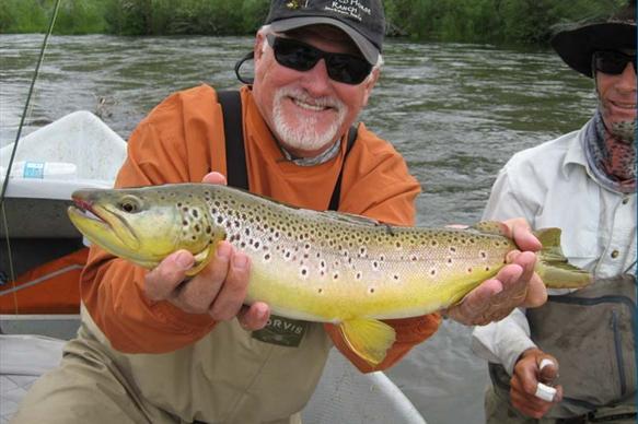 Madison Valley Ranch, Aardvark McLeod, trout fishing, brown trout