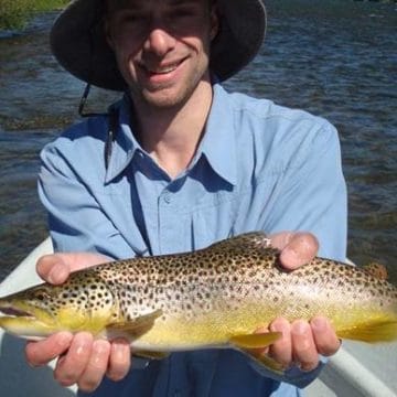 Madison Valley Ranch, Aardvark McLeod, trout fishing, brown trout