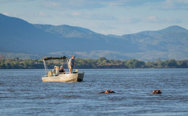 Chongwe River Camp, Lower Zambezi tiger fishing, Zambia tiger fishing, Aardvark McLeod