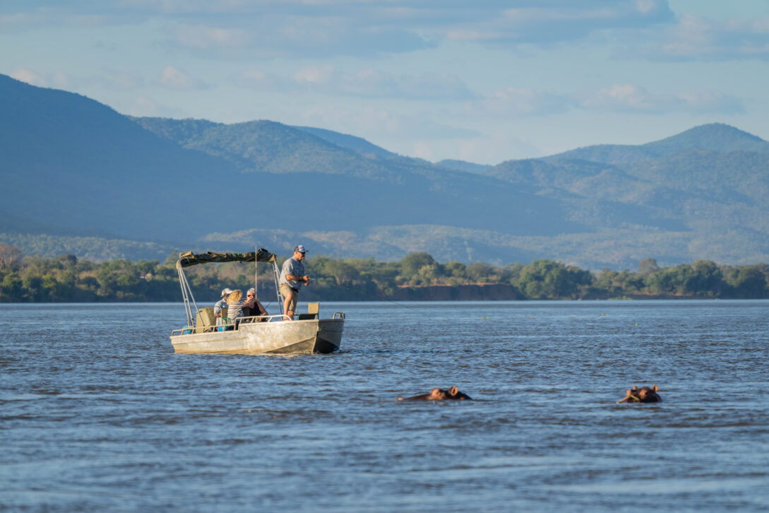 Chongwe River Camp, Lower Zambezi tiger fishing, Zambia tiger fishing, Aardvark McLeod