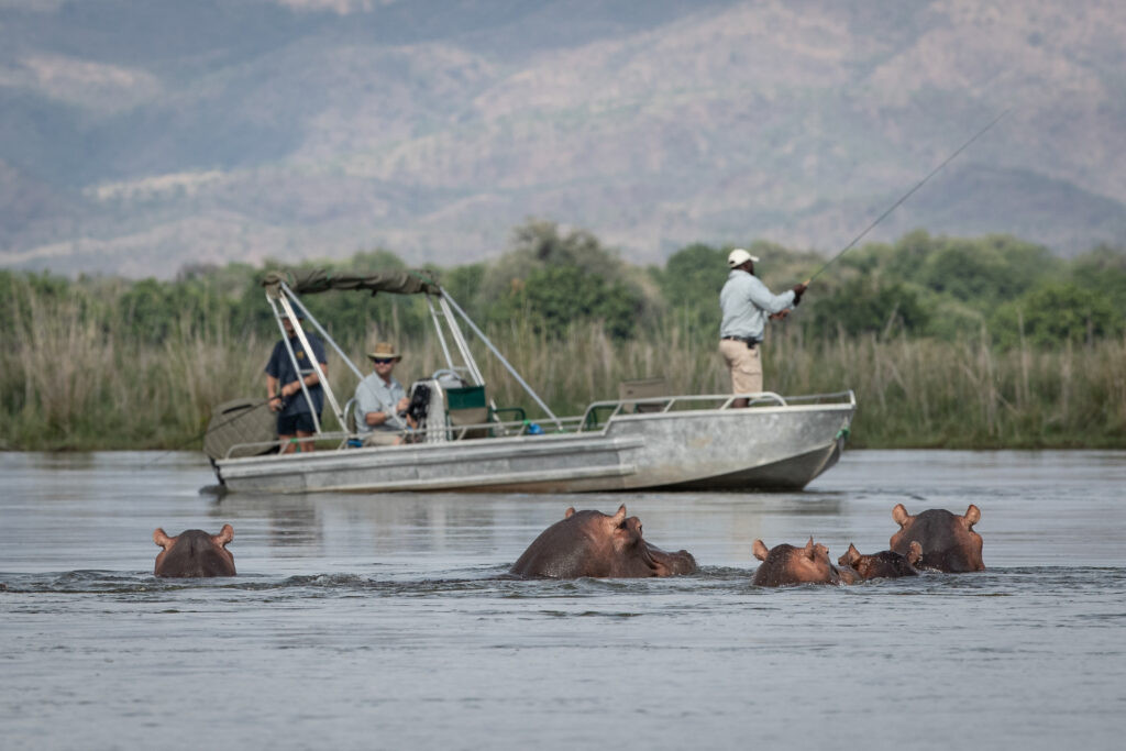 Chongwe River Camp, Lower Zambezi tiger fishing, Zambia tiger fishing, Aardvark McLeod