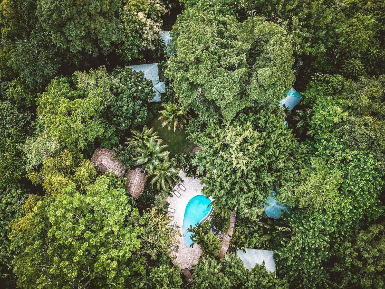 Copal Tree Lodge, luxury Belize lodge, Belize fly fishing, Aardvark McLeod