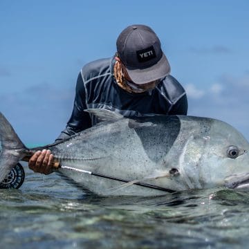 Cosmoledo, Seychelles, Aardvark McLeod