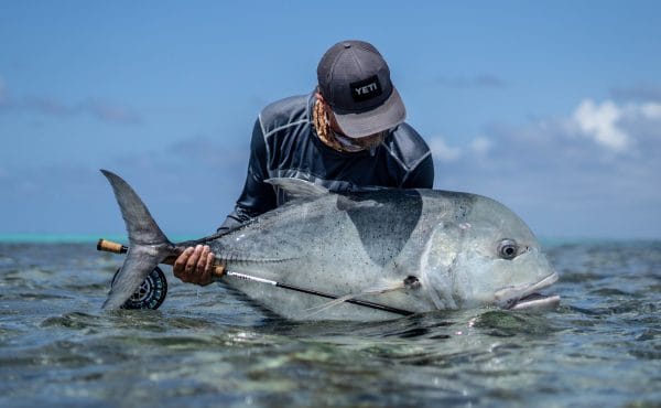 Cosmoledo, Seychelles, Aardvark McLeod