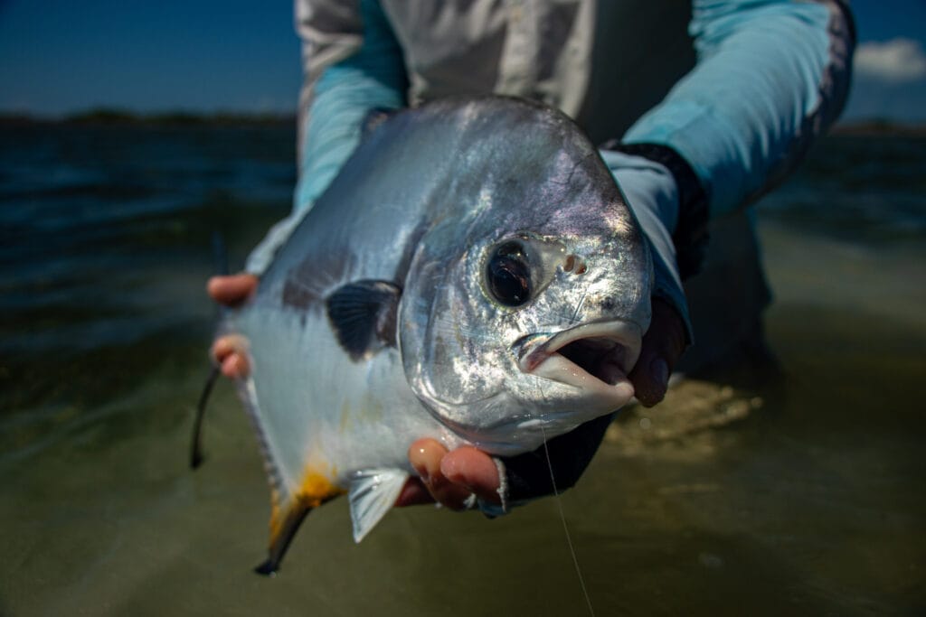 Jardines de la Reina, Cuba Fly Fishing, Jardines Avalon IV, Bonefish, Tarpon, Permit