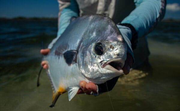 Jardines de la Reina, Cuba Fly Fishing, Jardines Avalon IV, Bonefish, Tarpon, Permit