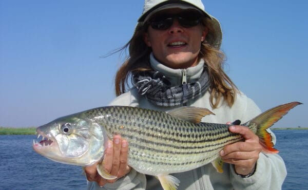 Chobe Savanna Lodge, Namibia tigerfishing, Namibia fly fishing, Aardvark McLeod