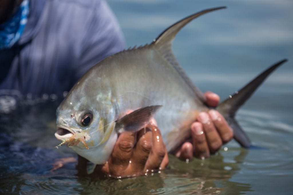 El Pescador, Belize bonefishing, Belize tarpon, Belize permit, fly fishing Belize, Aardvark McLeod