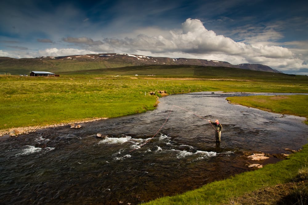 Salmon fishing, Laxa I Asum, Iceland