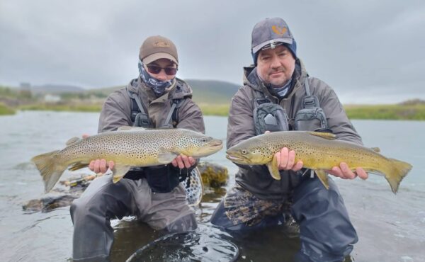 Lower Laxa I Adaldal Trout Fishing Iceland