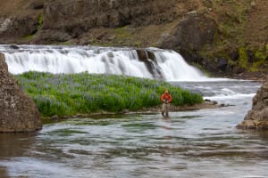 Salmon fishing Grimsa River Iceland