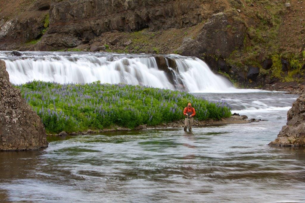 Grimsa, Iceland salmon fishing, Aardvark McLeod