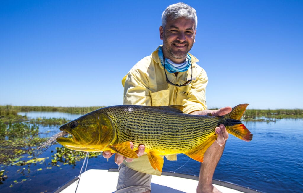 Pira Lodge, golden dorado, Argentina, Aardvark McLeod