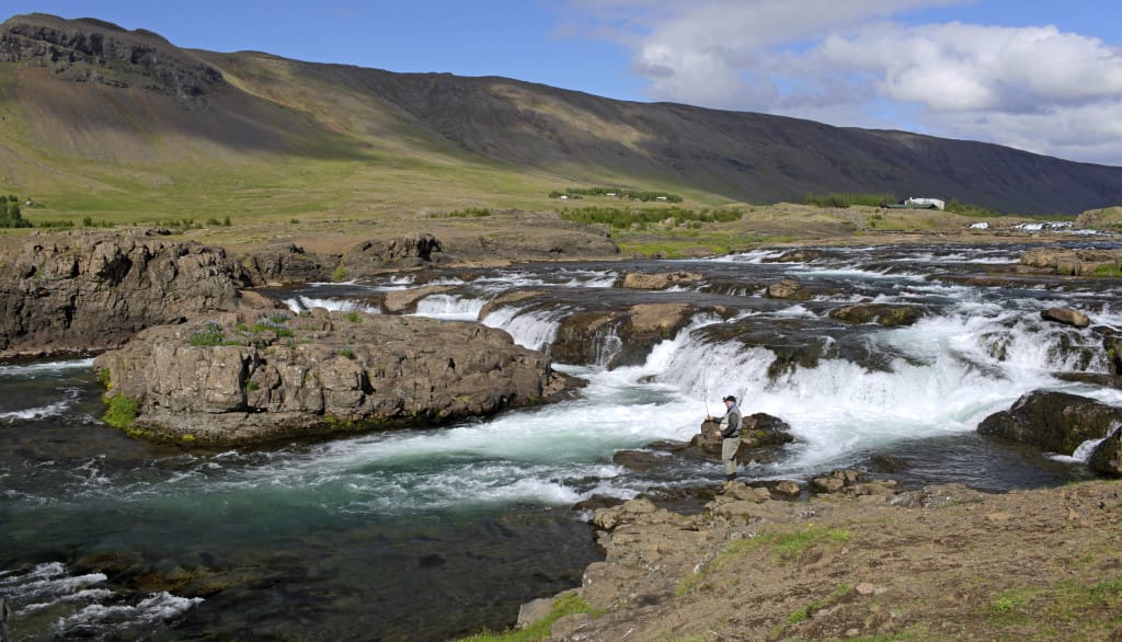 salmon fishing Laxa I Kjos Iceland