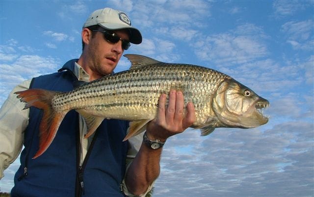 Kaza Safari Lodge, Namibia fly fishing, tigerfish, Chobe River tigerfish, Aardvark McLeod