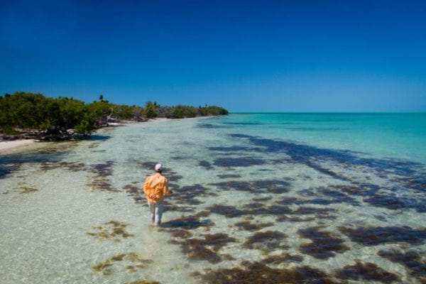 Cayo Largo, Cuba, Aardvark McLeod