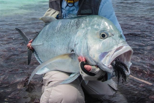 desroches-seychelles-fly-fishing-1