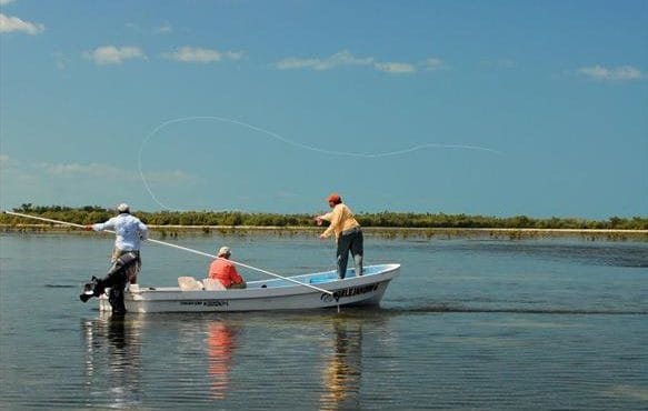 Isla Holbox, Tarpon fishing, Mexico, Aardvark McLeod