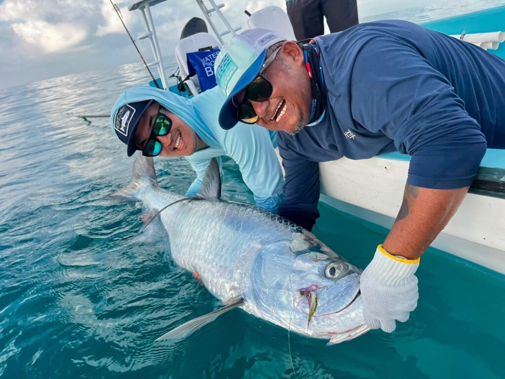 Isla Holbox, Mexico, Tarpon