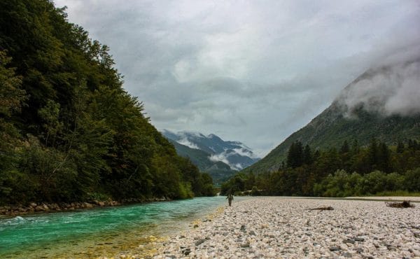 Slovenia, fly fishing Slovenia, dry fly fishing Slovenia, trout fishing Slovenia, Marble Trout Slovenia, Fly Fishing Guide Slovenia