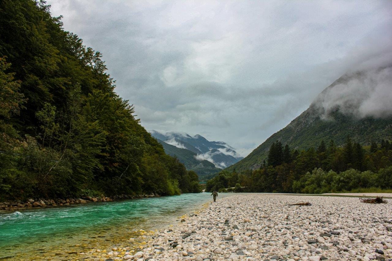 Slovenia, fly fishing Slovenia, dry fly fishing Slovenia, trout fishing Slovenia, Marble Trout Slovenia, Fly Fishing Guide Slovenia