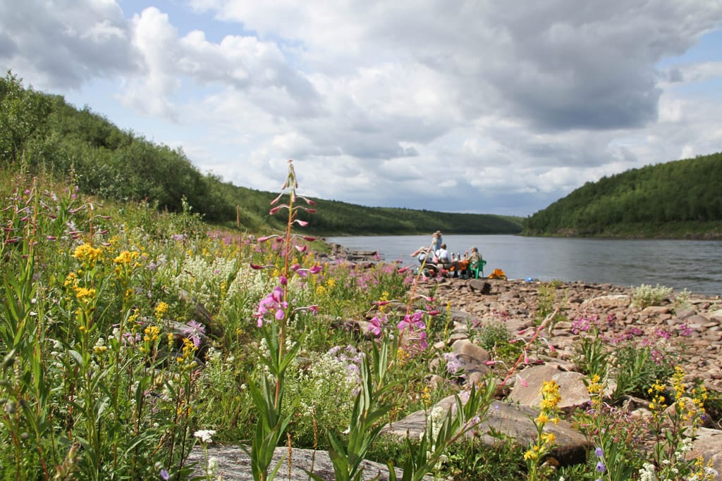 Ryabaga, Ponoi River, Russia, Aardvark McLeod, Atlantic salmon, salmon fishing, fishing in Russia,