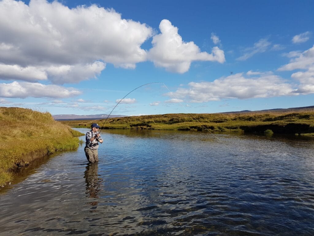 Myrarkvisl, Iceland trout fishing, Aardvark McLeod