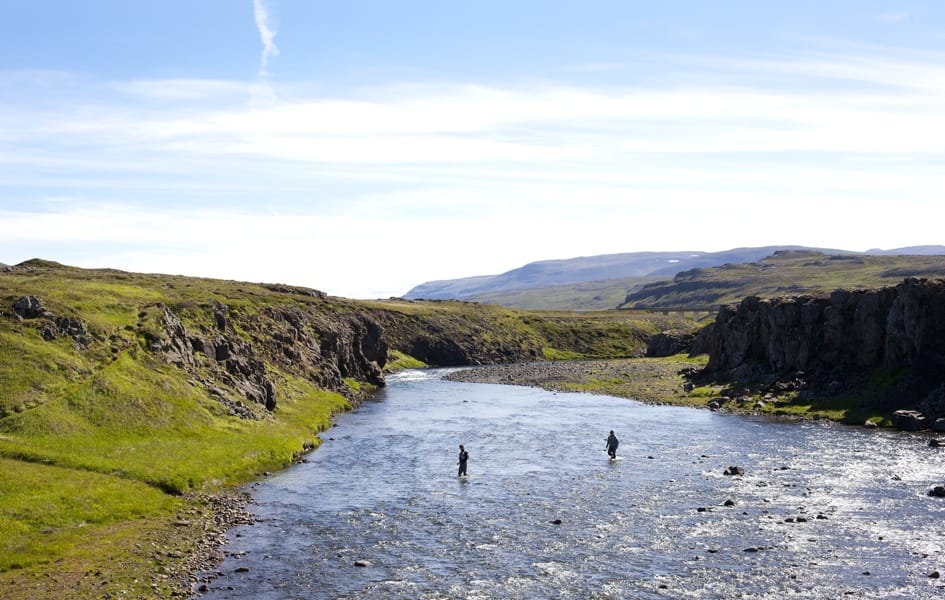 Haukadalsa, Iceland salmon fishing, Aardvark McLeod