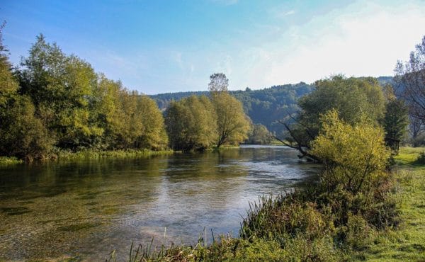 Bosnia, Fly Fishing Bosnia, Brown Trout Bosnia, dry fly fishing Bosnia, grayling Bosnia, Ribnik Bosnia, Pliva Bosnia,