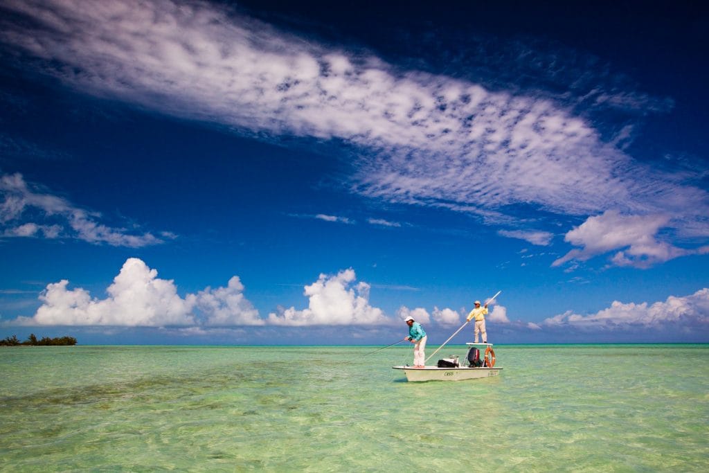 Cayo Cruz Romano, Cuba, Aardvark McLeod