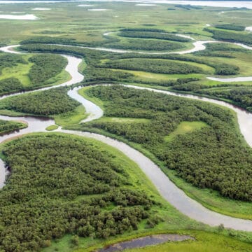 Rapids Camp Lodge, Alaska trout and salmon fishing, Aardvark McLeod