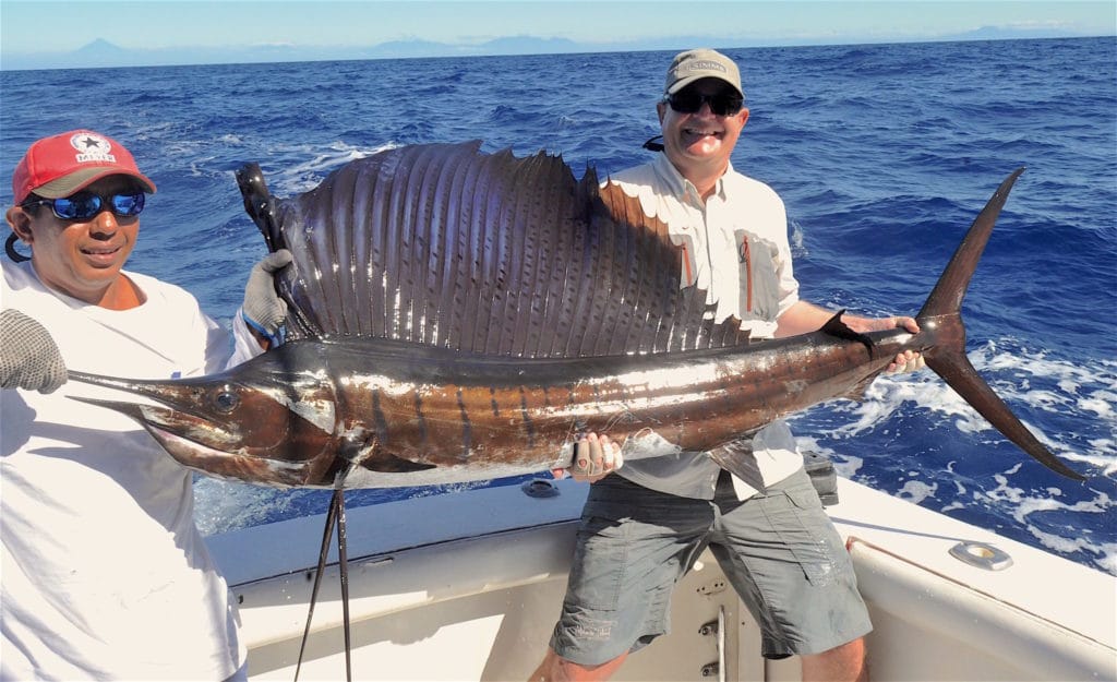 Guatemala sailfishing