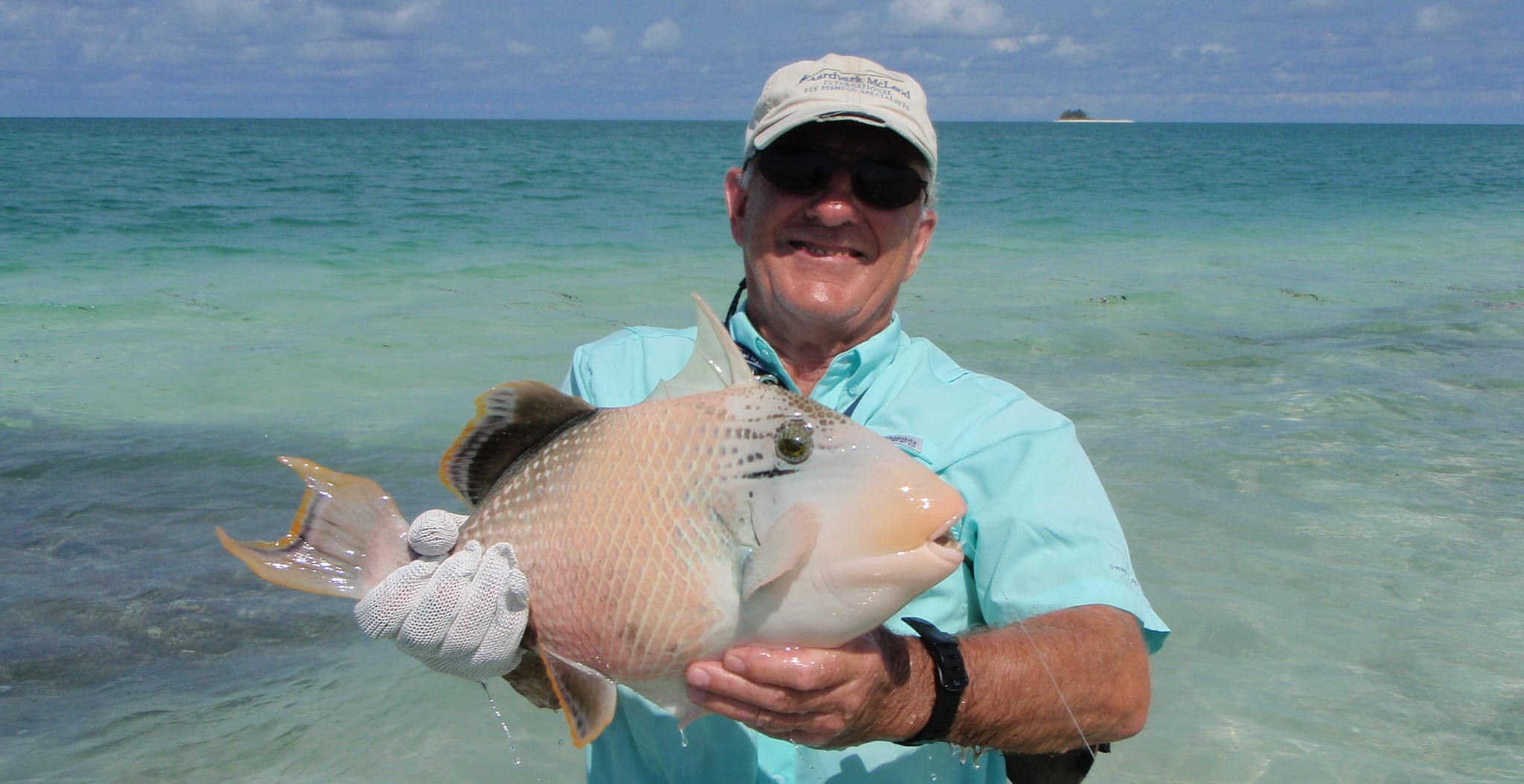 Aardvark McLeod Alphonse Island yellowmargin triggerfish