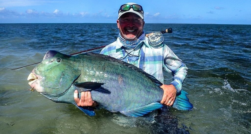 Aardvark McLeod Farquhar atoll Seychelles bumphead parrotfish