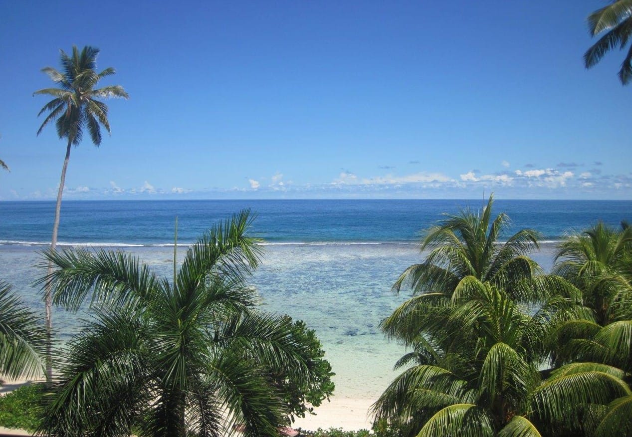 ardvark McLeod Mahe Seychelles