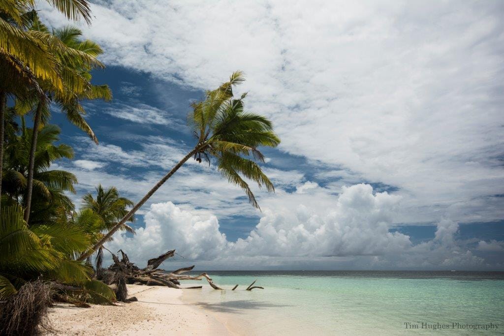 The Beach, Alphonse Island, Seychelles, Tim Hughes, Aardvark McLeod