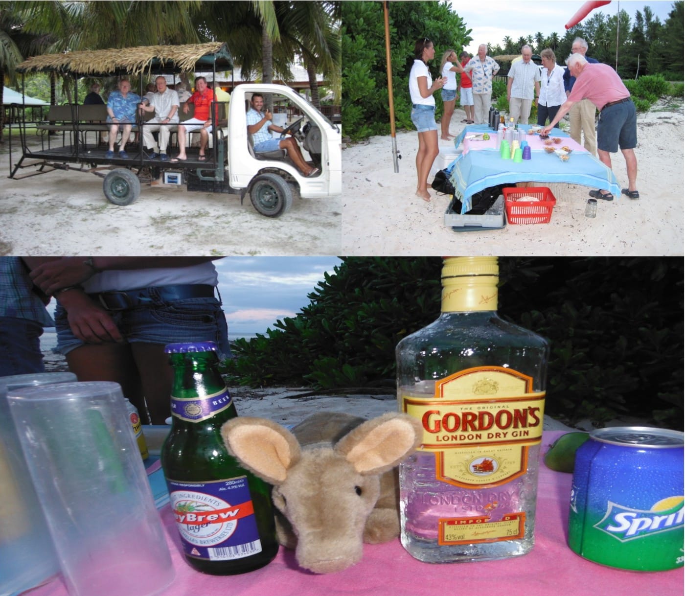 Aardvark McLeod Alphonse Island Seychelles